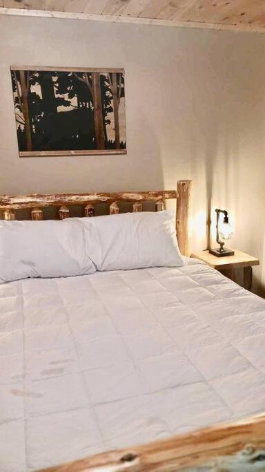 Moonshine Manor-Pets Ok-W/D-Pool Table-Arcade-Hot Tub Villa Gatlinburg Eksteriør bilde