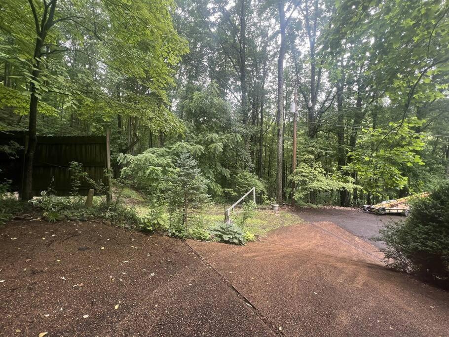 Moonshine Manor-Pets Ok-W/D-Pool Table-Arcade-Hot Tub Villa Gatlinburg Eksteriør bilde